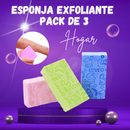 Esponja Exfoliante - PACK DE 3